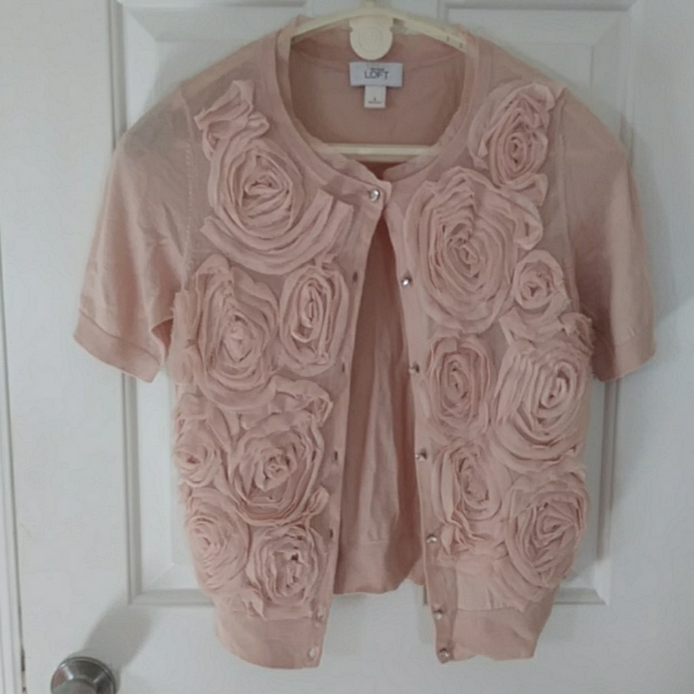 Ann Taylor Loft sweater
